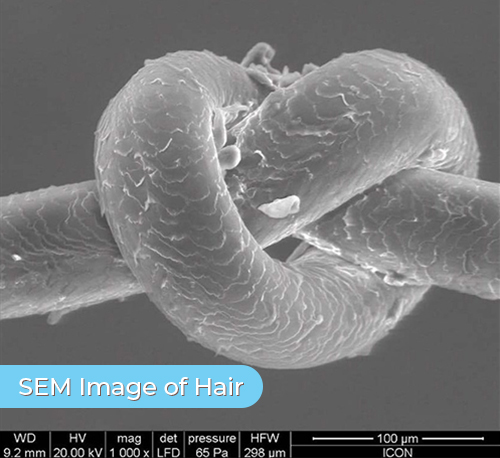 hair-scan
