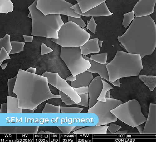 pigment-scan-tag
