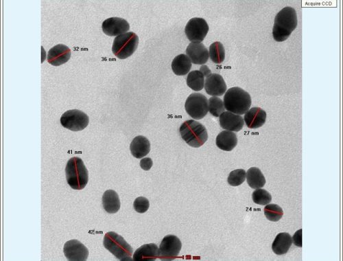 Gold Nano particles