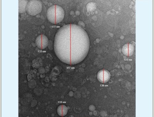Liposomes