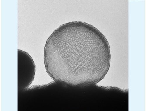 Sillica Nanoparticles